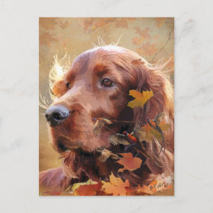 Cartão Postal De Festividades Irish Setter