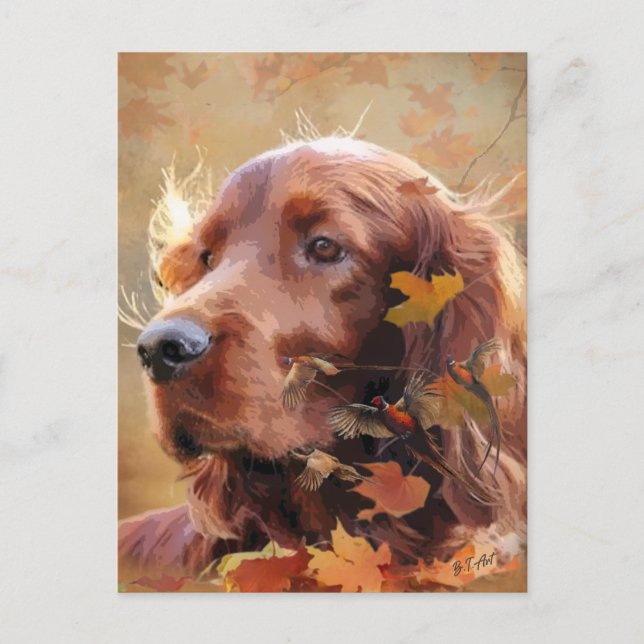 Cartão Postal De Festividades Irish Setter (Frente)