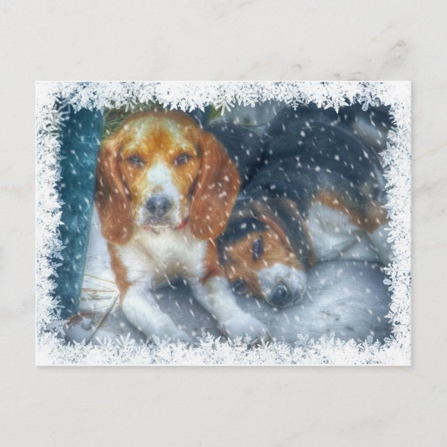 Cartão Postal De Festividades Irmãos de Natal (Frente)