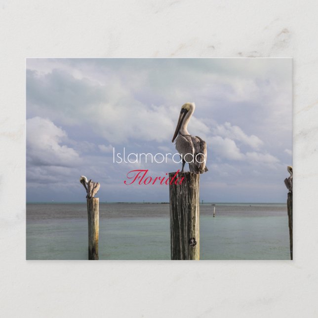 Cartão Postal De Festividades Islamorada, Cartão-postal de Feriado da Flórida (Frente)