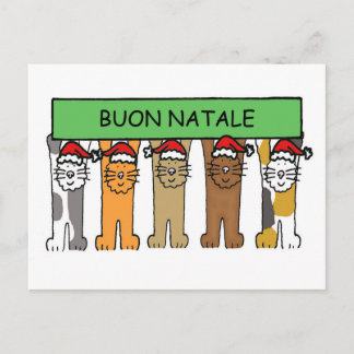 Cartão Postal De Festividades Italian Happy Christmas Cats Buon Natale