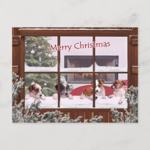 Cartão Postal De Festividades Jack Russell Christmas Wishes Greeting