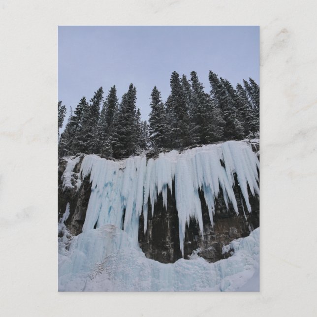 Cartão Postal De Festividades Johnston Canyon Postcard (Frente)