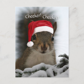 Cartão Postal De Festividades Jolly Squirrel Vestindo Santa Hat ・ Papais noeis S