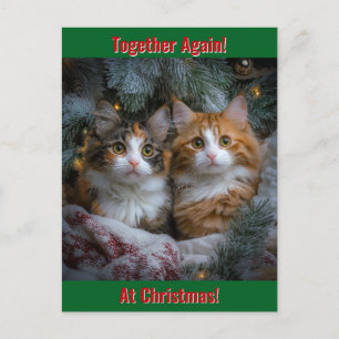 Cartão Postal De Festividades Juntos de novo no Natal!