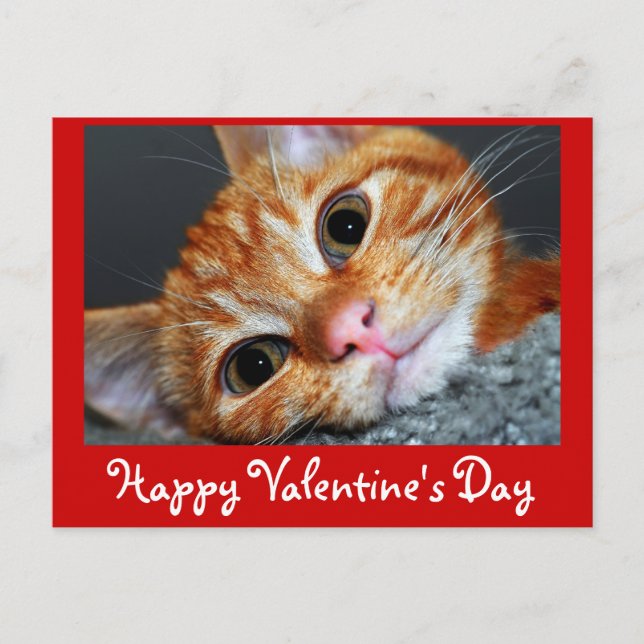 Cartão Postal De Festividades Kat gatinho (Frente)