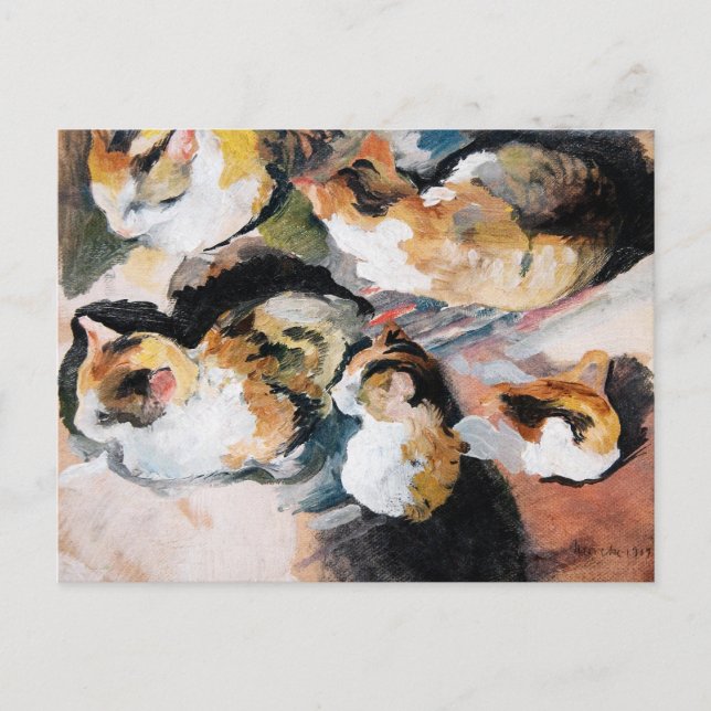 Cartão Postal De Festividades Katzenstudien (Estudo de um Gato) 1909 (Frente)