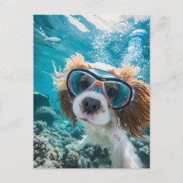 Cartão Postal De Festividades King Charles Cocker Spaniel driving in ocean