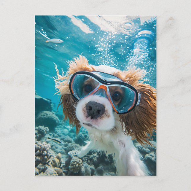 Cartão Postal De Festividades King Charles Cocker Spaniel driving in ocean (Frente)