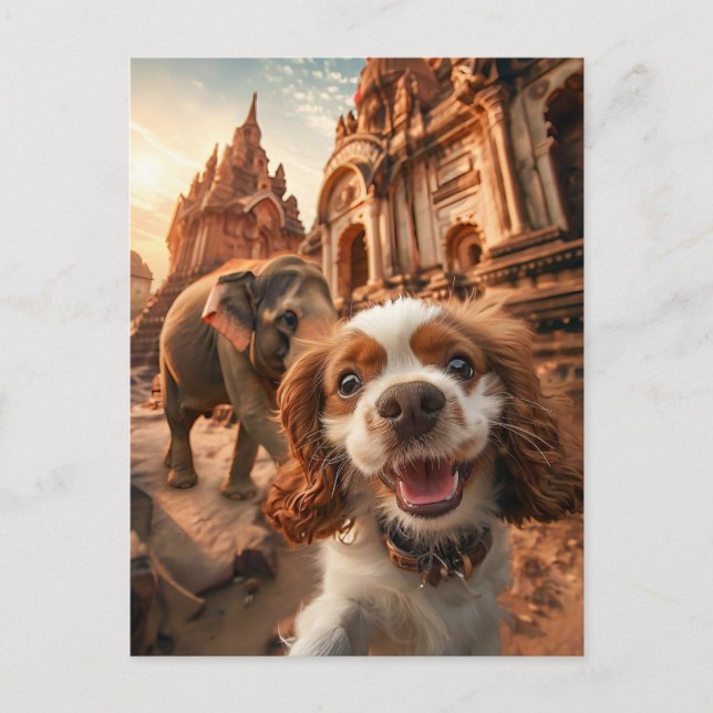 Cartão Postal De Festividades King Charles Cocker Spaniel in Ankor temple (Frente)