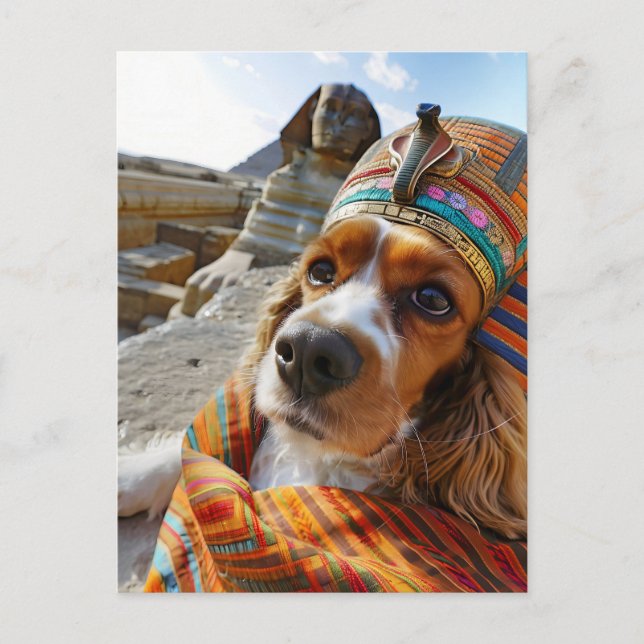 Cartão Postal De Festividades King Charles Cocker Spaniel in Egypt (Frente)