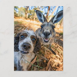 Cartão Postal De Festividades King Charles Cocker Spaniel Takes Selfies Across t