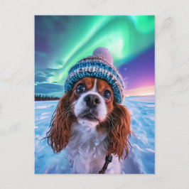 Cartão Postal De Festividades King Charles Cocker Spaniel with northern lights