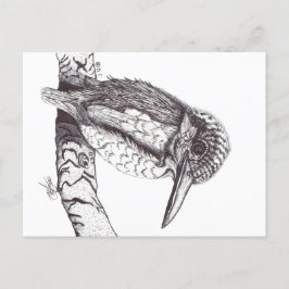 CARTÃO POSTAL DE FESTIVIDADES KINGFISHER