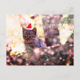 Cartão Postal De Festividades Kit de Cartão-Postal de Feliz ano novo