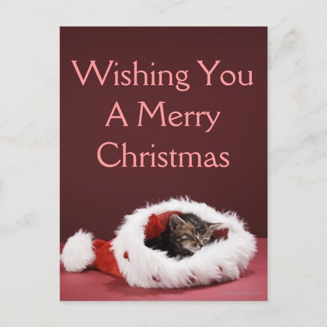 Cartão Postal De Festividades Kitten asleep in Christmas hat (Frente)