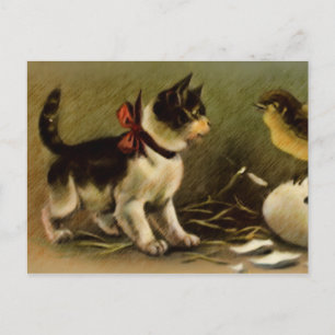 Cartão Postal De Festividades Kitten & Chick Easter Postcard