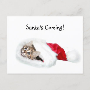 Cartão Postal De Festividades Kitten em Santa Hat