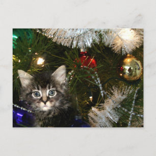 Cartão Postal De Festividades Kitten na árvore de Natal