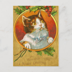 Cartão Postal De Festividades Kitten Natal com amoras sagradas