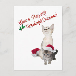 Cartão Postal De Festividades Kitten Purfetil Maravilhosos Desejos de Natal