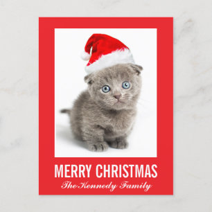 Cartão Postal De Festividades Kitten wearing a Santa hat