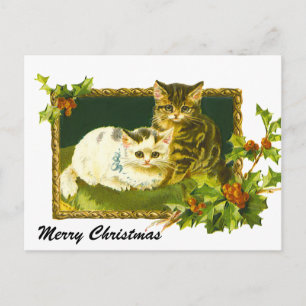 Cartão Postal De Festividades Kittens Natal