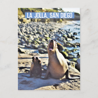 Cartão Postal De Festividades La Jolla Seals