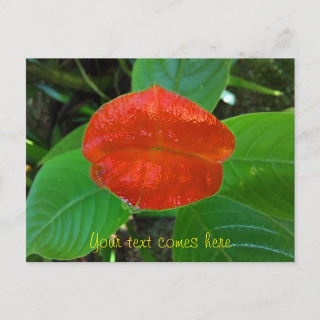 Cartão Postal De Festividades lábios vermelhos (Frente)