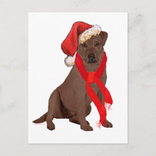 Cartão Postal De Festividades Labrador Retriever Chocolate Natal