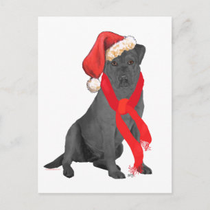 Cartão Postal De Festividades Labrador Retriever Preto de Natal
