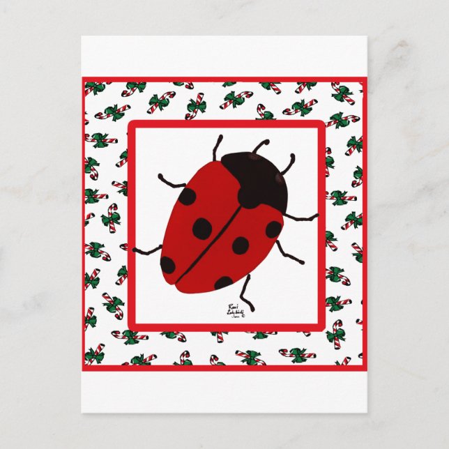 Cartão Postal De Festividades Ladybug de Natal em julho (Frente)