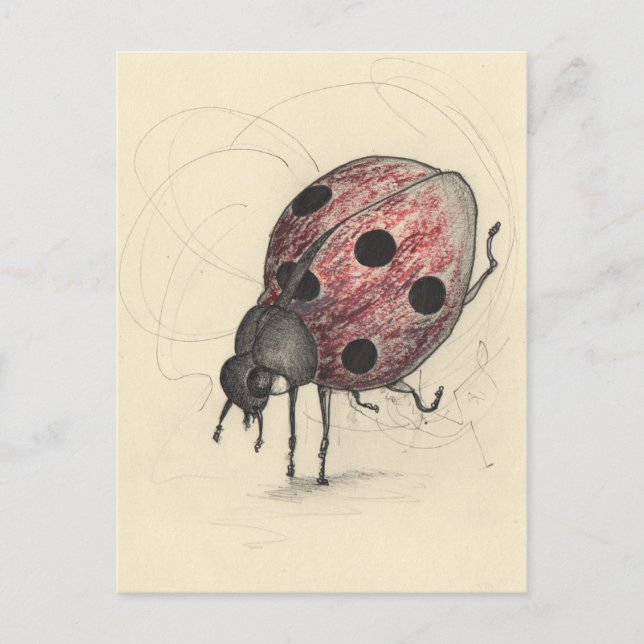 Cartão Postal De Festividades Ladybug não sabe dançar (Frente)