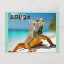 lagarto desfrutando da praia em aruba