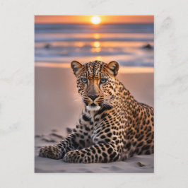 Cartão Postal De Festividades Leopardo na praia