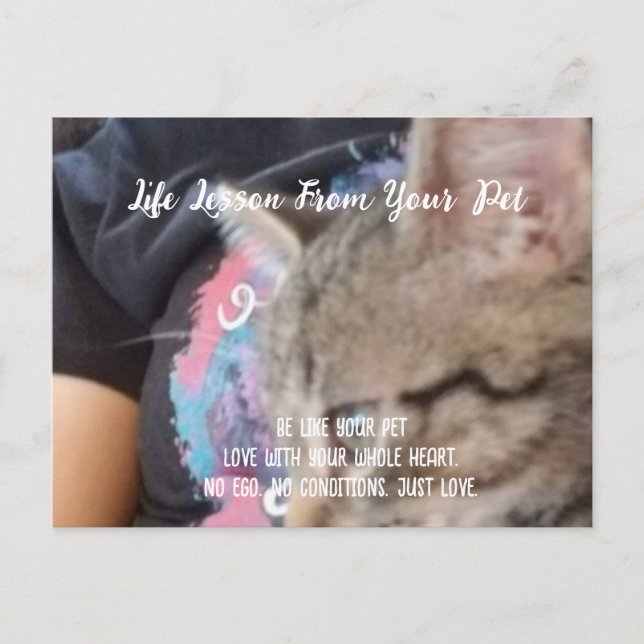 Cartão Postal De Festividades Lição incondicional da vida amorosa do animal de e (Frente)