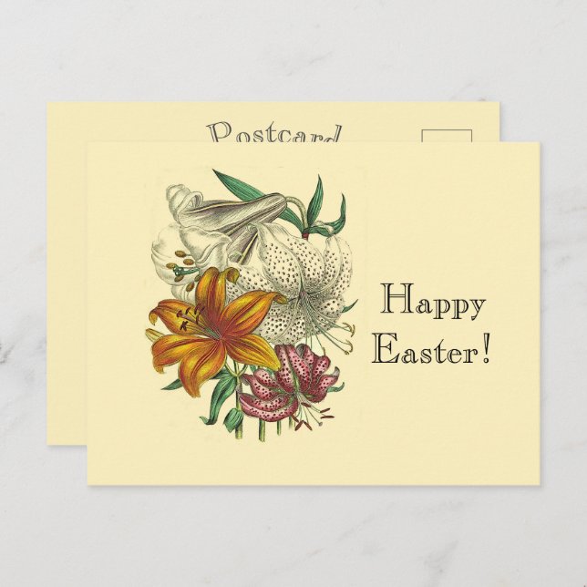 Cartão Postal De Festividades Lilies Botânicos Antigos Floral Feliz Páscoa  (Frente/Verso)
