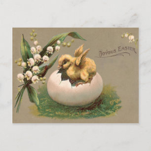 Cartão Postal De Festividades Lily Do Ovo De Pintinho De Vale
