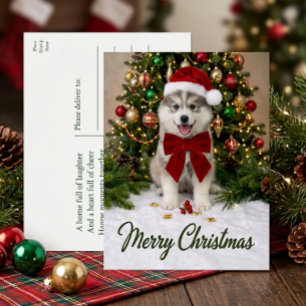 Cartão Postal De Festividades Lindo Filhote de Pomsky Amante do Papai Noel Natal