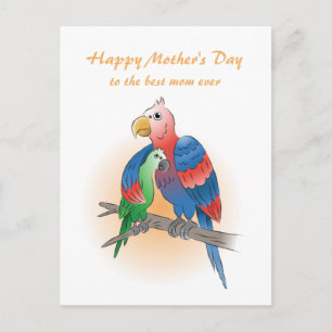 Cartão Postal De Festividades Lindos Papagaios Dia das Mães