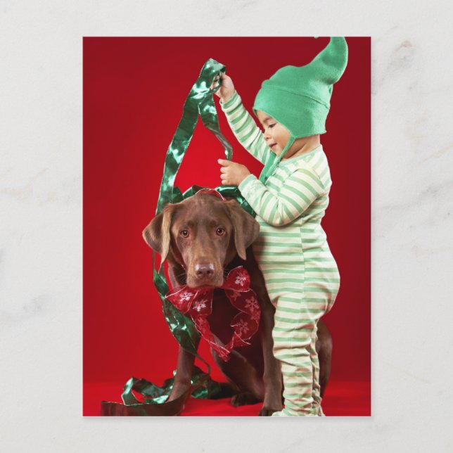 Cartão Postal De Festividades Little boy decorating a dog (Frente)