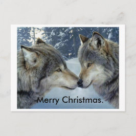 Cartão Postal De Festividades lobos esfregando narizes. Feliz cartão de posto de