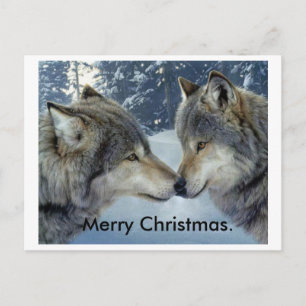 Cartão Postal De Festividades lobos esfregando narizes. Feliz cartão de posto de