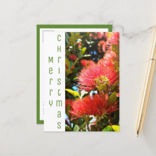 CARTÃO POSTAL DE FESTIVIDADES LOGOTIPO DA EMPRESA DE FLORES DE NATAL DA POHUTUKA