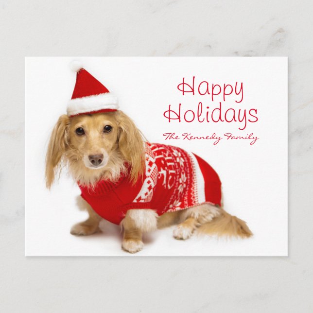 Cartão Postal De Festividades Longhaired dachshund wearing a red Christmas (Frente)