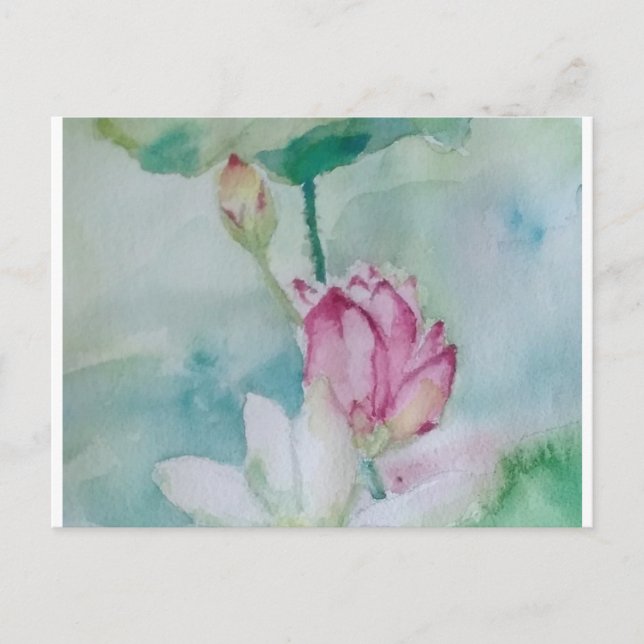 Cartão Postal De Festividades lótus (Frente)