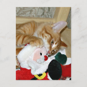 Cartão Postal De Festividades Louco em Papais noeis