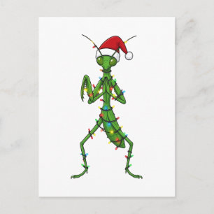 Cartão Postal De Festividades Louva-a-Deus Natal Feriado Inseto Bug