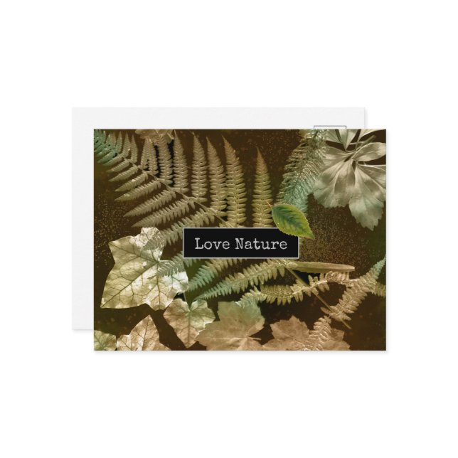 Cartão Postal De Festividades Love Nature Ferny Leaf Impressão (Frente/Verso In Situ)