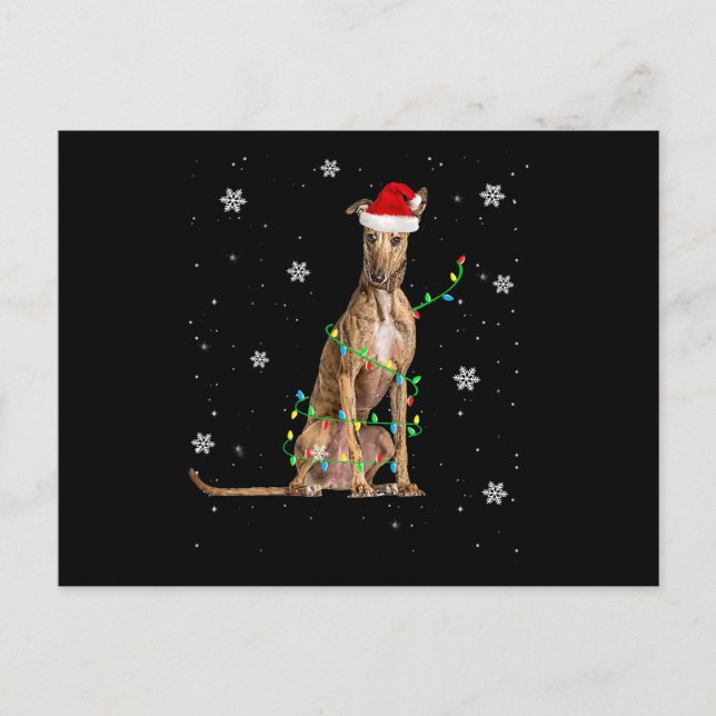Cartão Postal De Festividades Luz de Natal Whippet Papai Noel Bonito Whippet Nat (Frente)